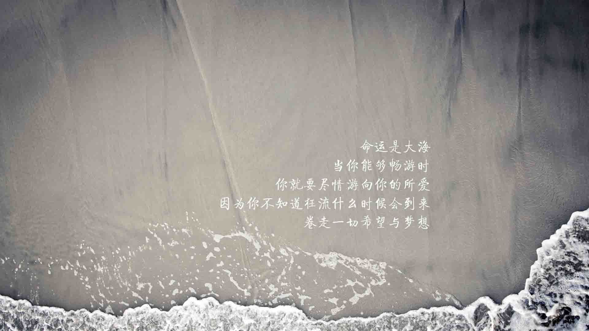 WRC幕后花絮：比赛准备与团队故事，wrc视频2020