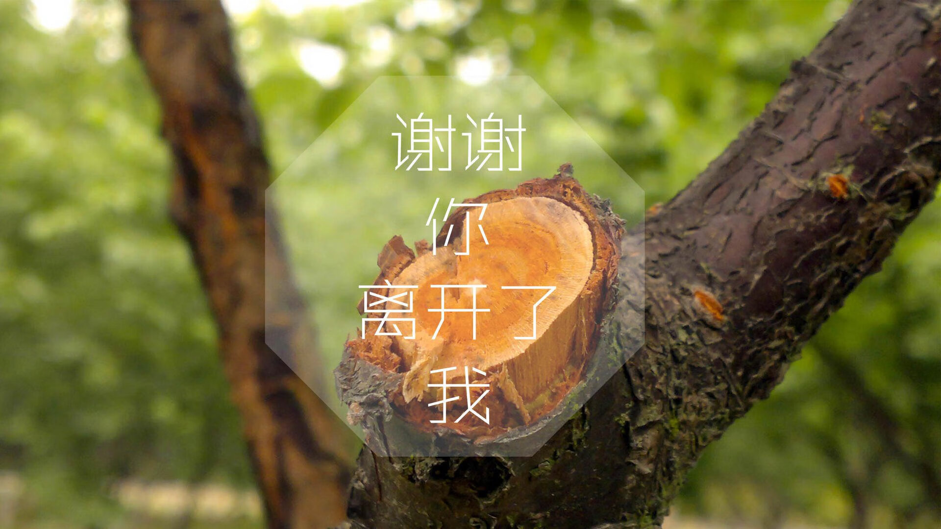 国足训练营设置沉浸式战术演练区，国足集训计划