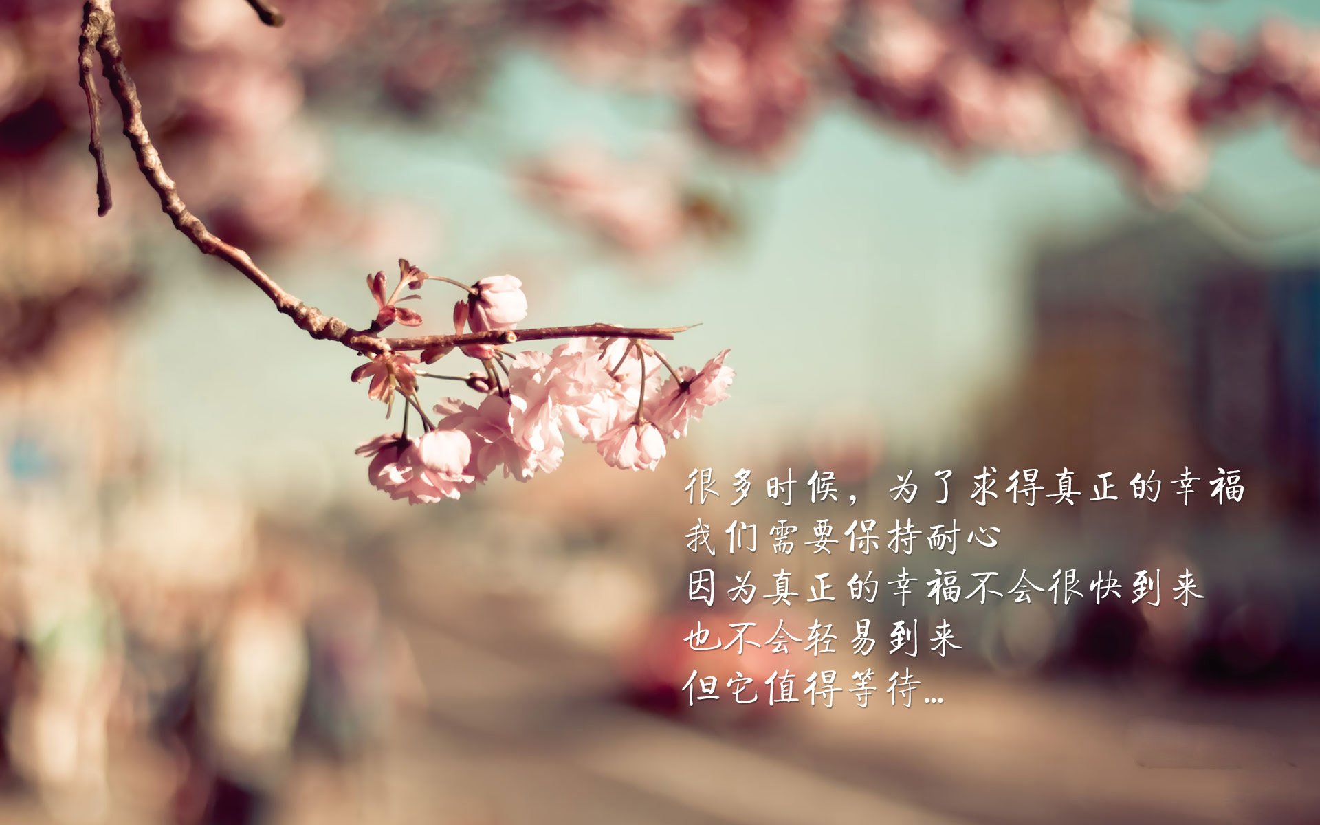 西汉姆联喜获大捷，豪取三分穿越淘汰，西汉姆联rice