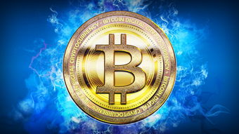 开云官网-体育新闻中心协办全国体育数字内容技术交流大会，体育数字化