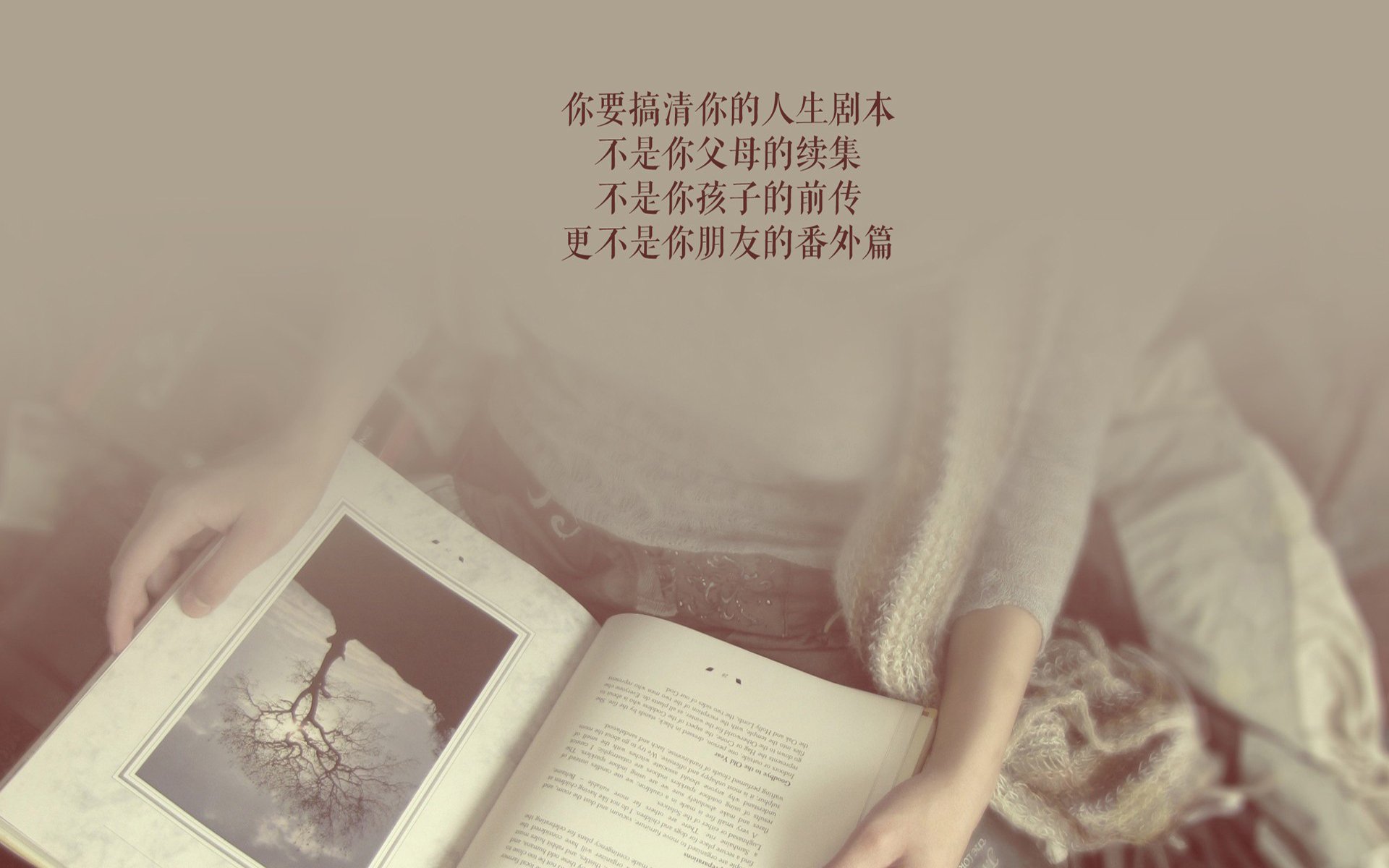 世界杯激情战：团队合作中的闪光时刻，世界杯超燃视频