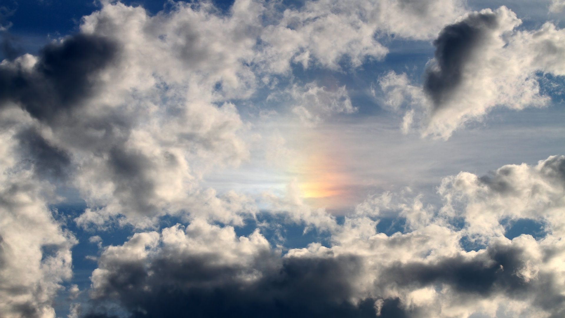 巴雷特:全黑队的比赛指挥官,带领球队走向胜利的核心人物,巴雷特实战视频