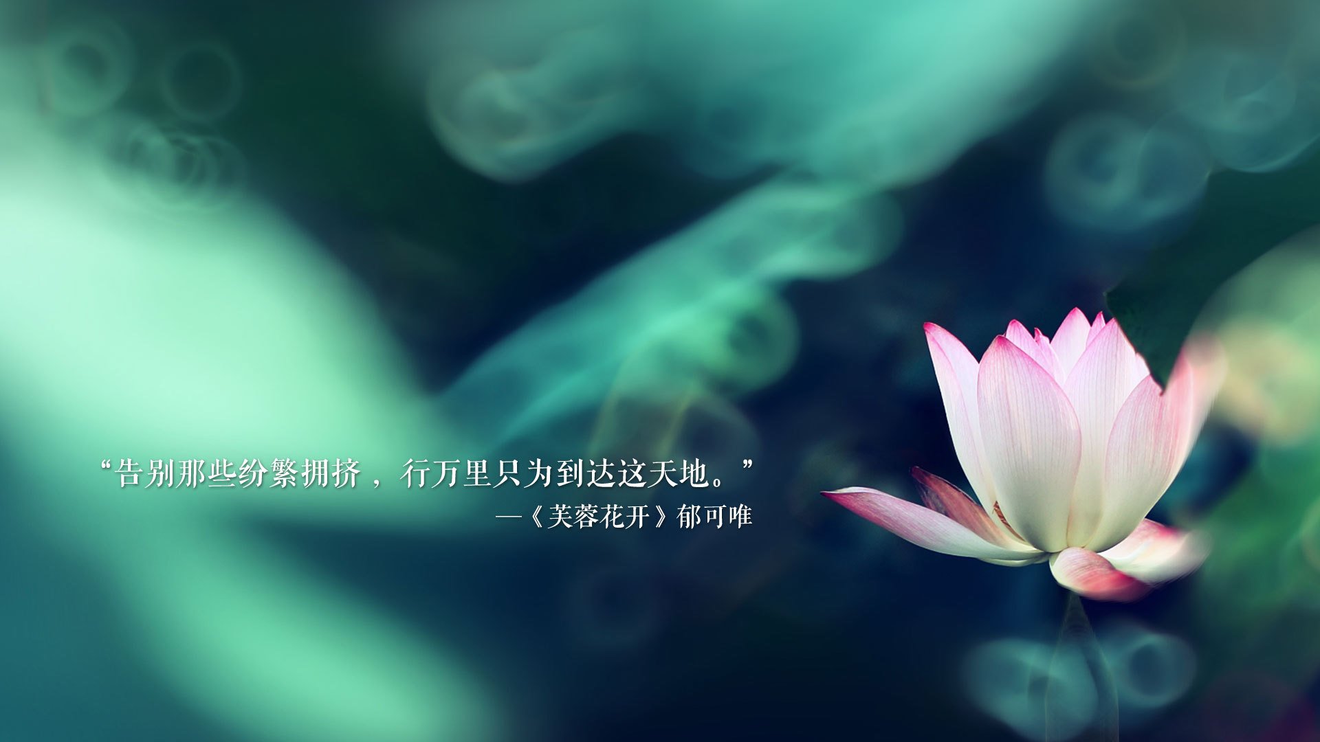 职业联赛鼓励城市球迷联盟参与赛事推广和传播